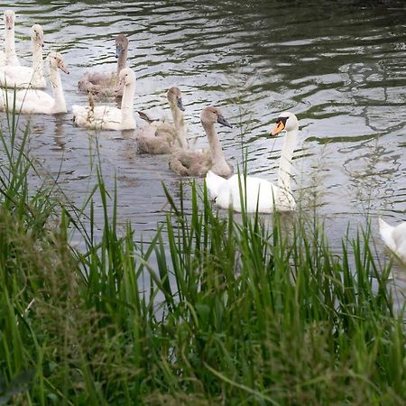 L'Attrap'Reves : Le Confort Hotelier, La Convivialite En Plus Ergersheim 外观 照片